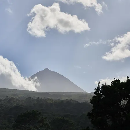 4 Seasons Πανσιόν 4*