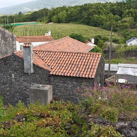 Guest house 4 Seasons Sao Roque do Pico