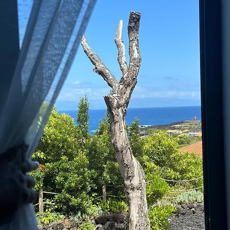 4 Seasons Guest house