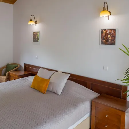 4 Seasons Guest house Sao Roque do Pico