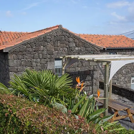 Guest house 4 Seasons 3*
