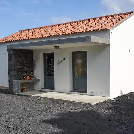Guest house 4 Seasons